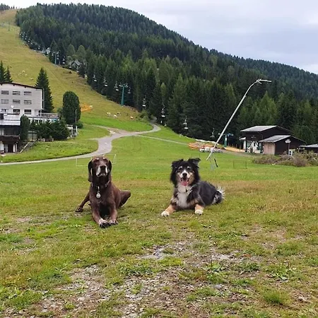 Erholungskanzel * Treffen