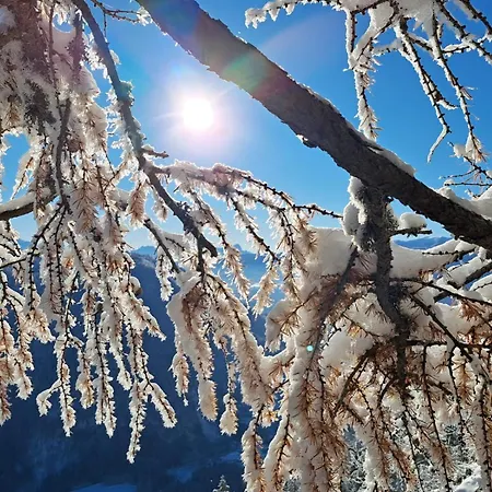 Erholungskanzel Appartamento *