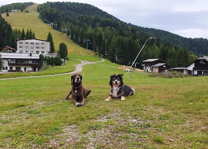Erholungskanzel * Treffen