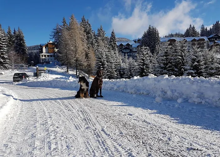 Erholungskanzel * טרפן