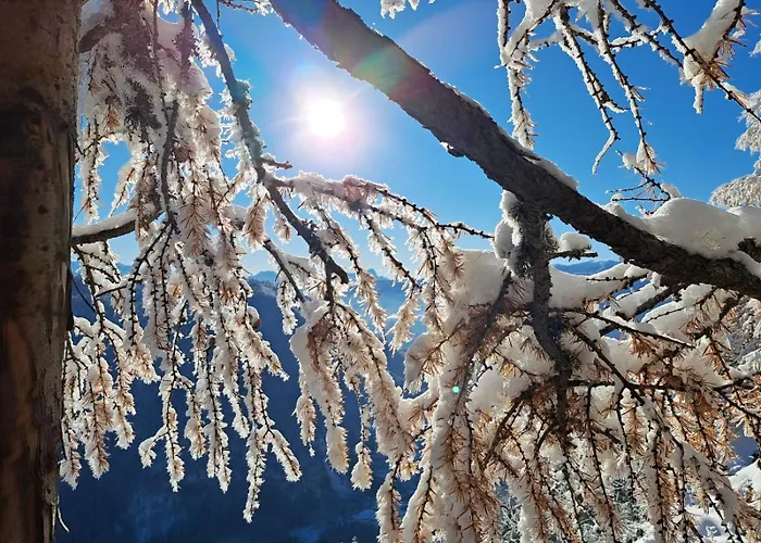 Erholungskanzel דירה *